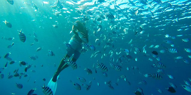 Underwater photography west coast mauritius (2)